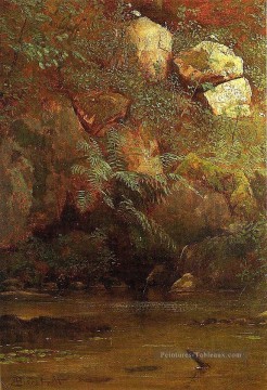 Albert Bierstadt œuvres - Fougères et rochers sur un remblai Albert Bierstadt